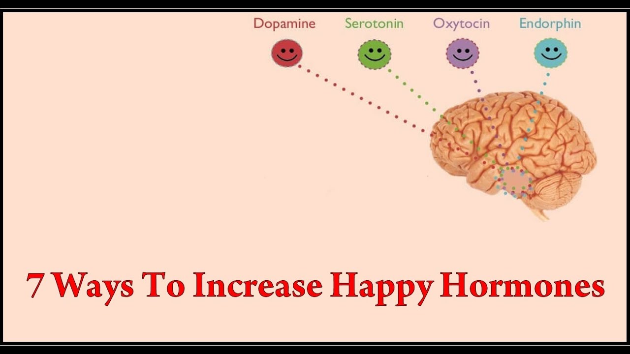 7 Ways To Increase Happy Hormones