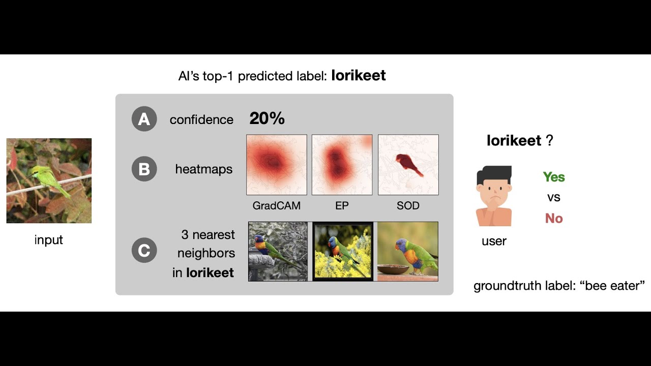 The effectiveness of feature attribution methods & its correlation with automatic evaluation scores