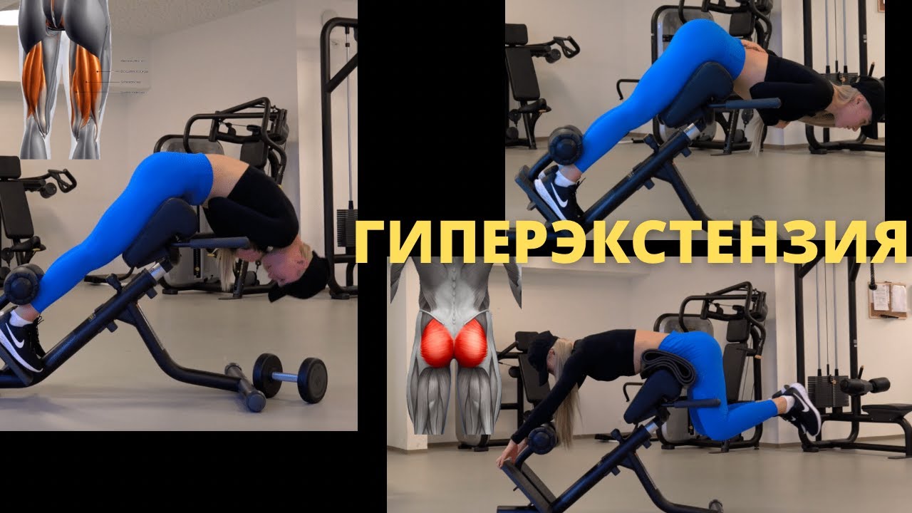 Семь вариантов работы в гиперэкстензии! Виды гиперэкстензий: техника работы на ягодицы, мышцы спины.