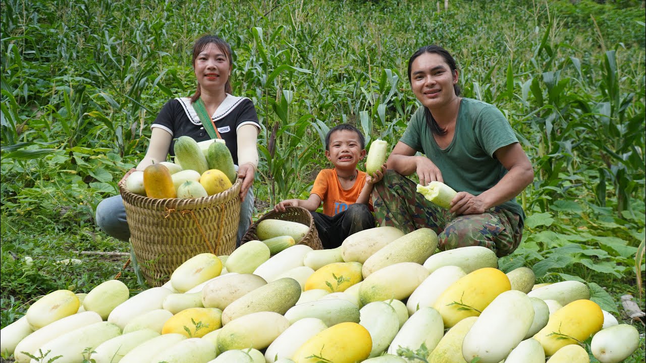 Harvest, cucumbers, sell them in the market to make money, farm life, SURVIVAL ALONE