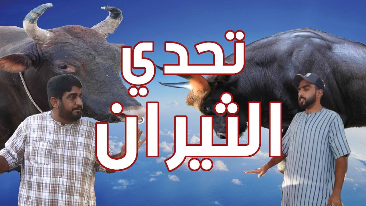 🔥  🔥 الرد الناري من ثور بن خمسين الجمر على ثور سالم الحديد