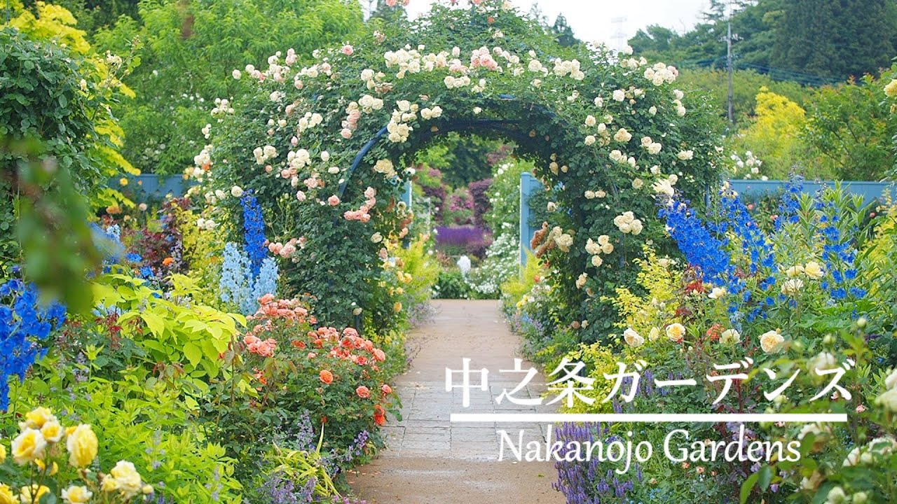 《一度は訪れたい素敵なガーデン》バラと草花との調和が美しい中之条ガーデンズ《T's Gardenお出かけ編》