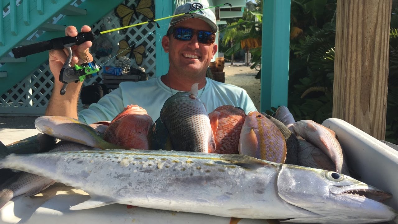 Snapper Grouper Mackerel TINY ROD! Catch Clean Cook!!! in the Florida Keys
