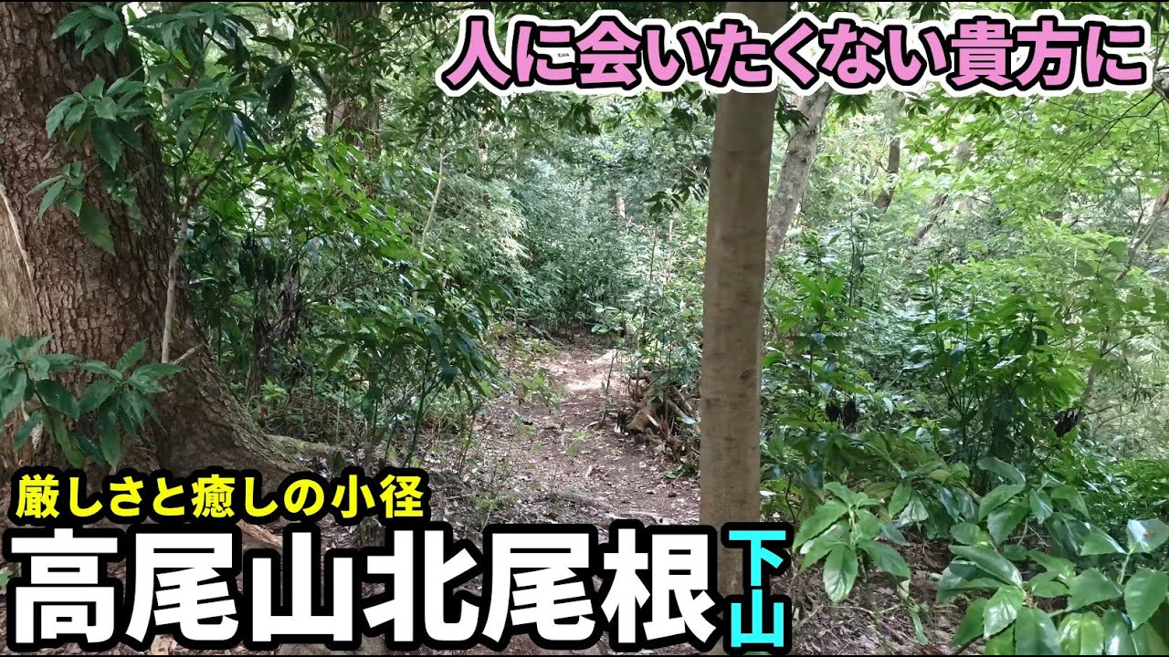 【高尾山北尾根 下山】人が少なくひっそりとした破線ルートが楽しい