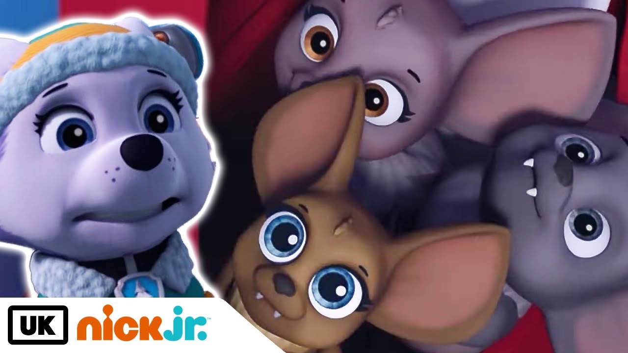 PAW Patrol | Pups Save a Bat Family | Nick Jr. UK