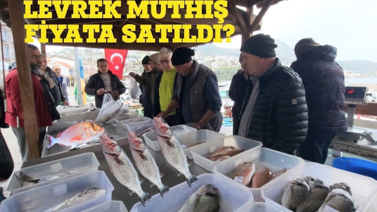 BALIK MEZATI (KARABURUN) 25.01.2026 GENİŞ EKRAN 