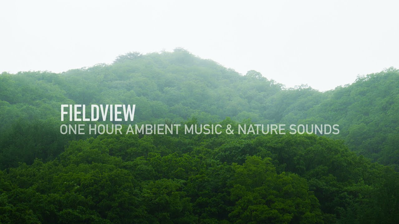 1 Hour of Rainy Mountain Fog | Ambient Music & Nature Sounds