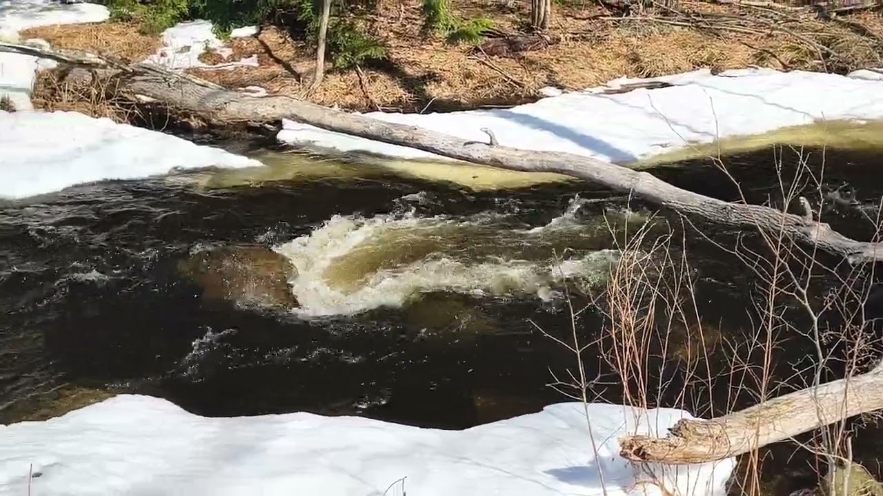 Spring Melt 