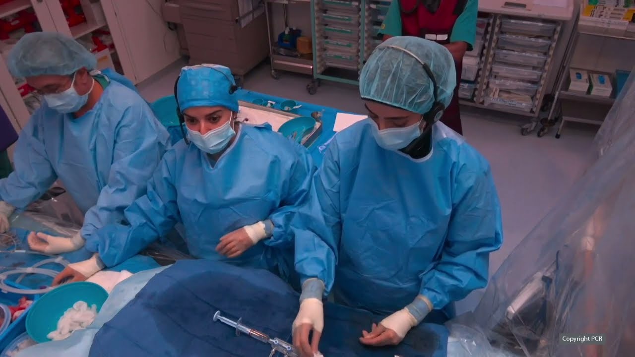 How artificial intelligence can help in optimising PCI for treatment of complex lesions