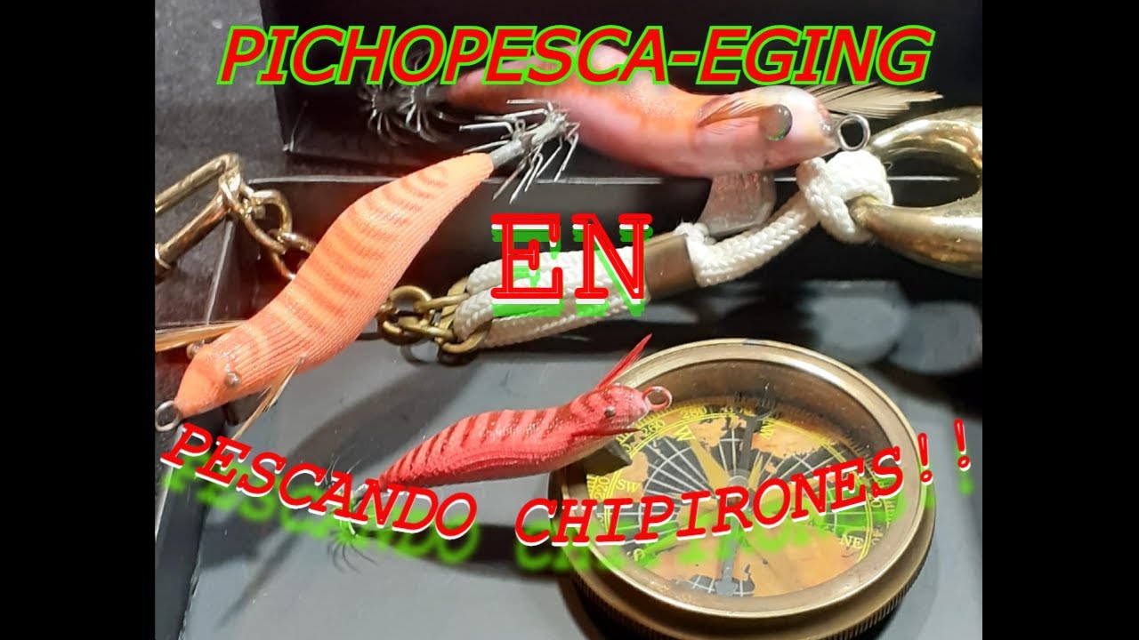 🎣la pesca del chipi🎣🦑en la ria de arosa!!!!