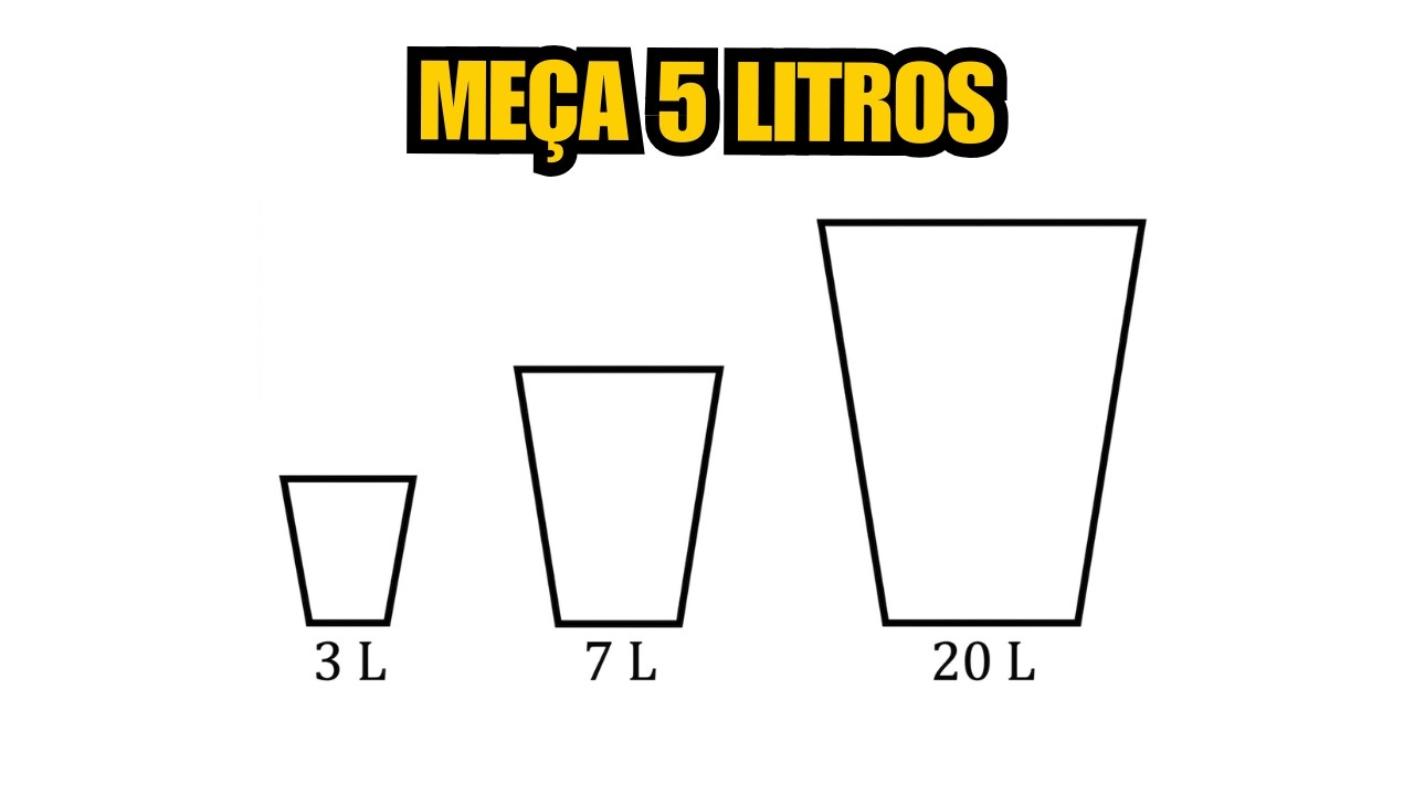 90% Não Resolveram: O segredo para não errar esse problema de lógica.