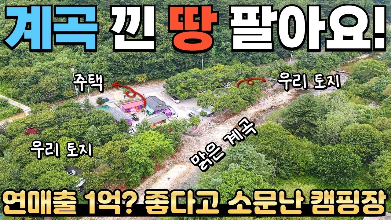 [400] 🚨전속중개🚨 727평! 있을거 다~ 있습니다. 계곡 접한 소문난 캠핑장 / 연매출 1억 이상?! / 강원특별자치도 영월군 무릉도원면 캠핑장 토지 매매 #제천부동산 #영월