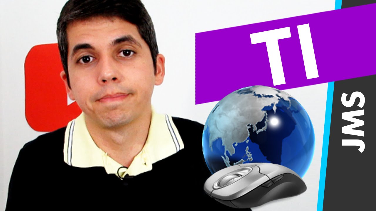 O PROFISSIONAL DE TI NO BRASIL