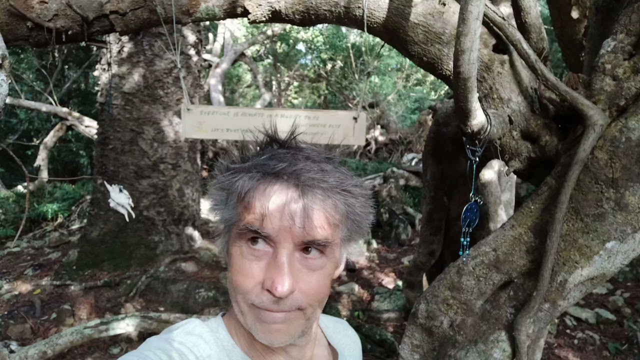 Middle Percy Island