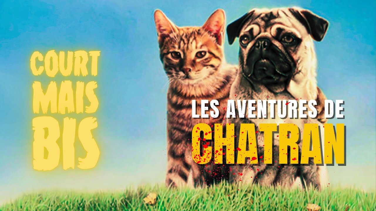 Court mais bis #06 - Les Aventures de Chatran