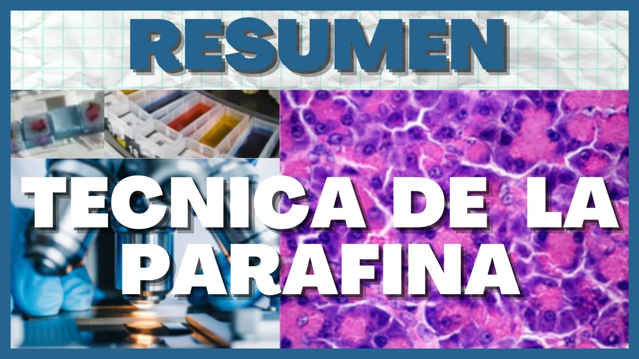 Tecnica Histologica: Preparación del Tejido (7 Pasos)