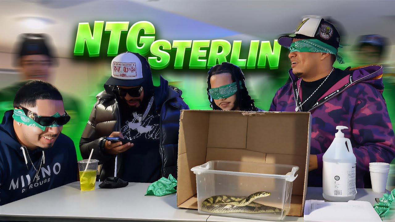 YO Y REYDELACITY PUSIMOS A NTG & STERLIN A JUGAR A ADIVINAR QUE HAY EN LA CAJA😂🤣.....