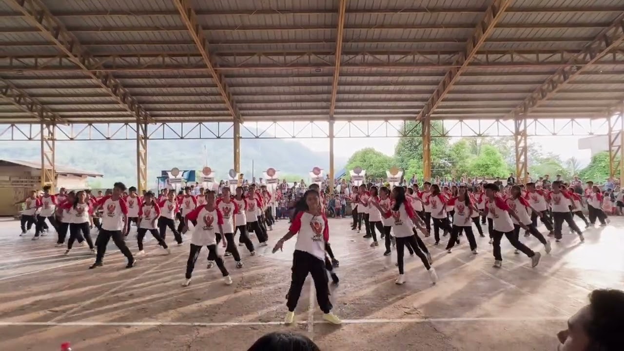BNHS Wellness Dance Competition | Champion