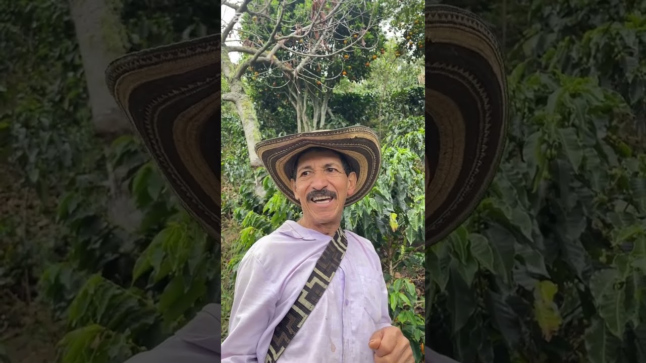 Que pesar como se pierde la comida