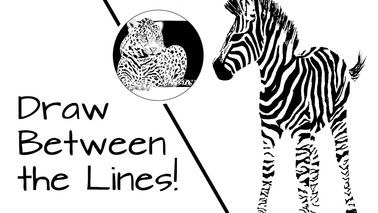 Negative Space Techniques in Illustration | Zebra Foal | Sakura Micron