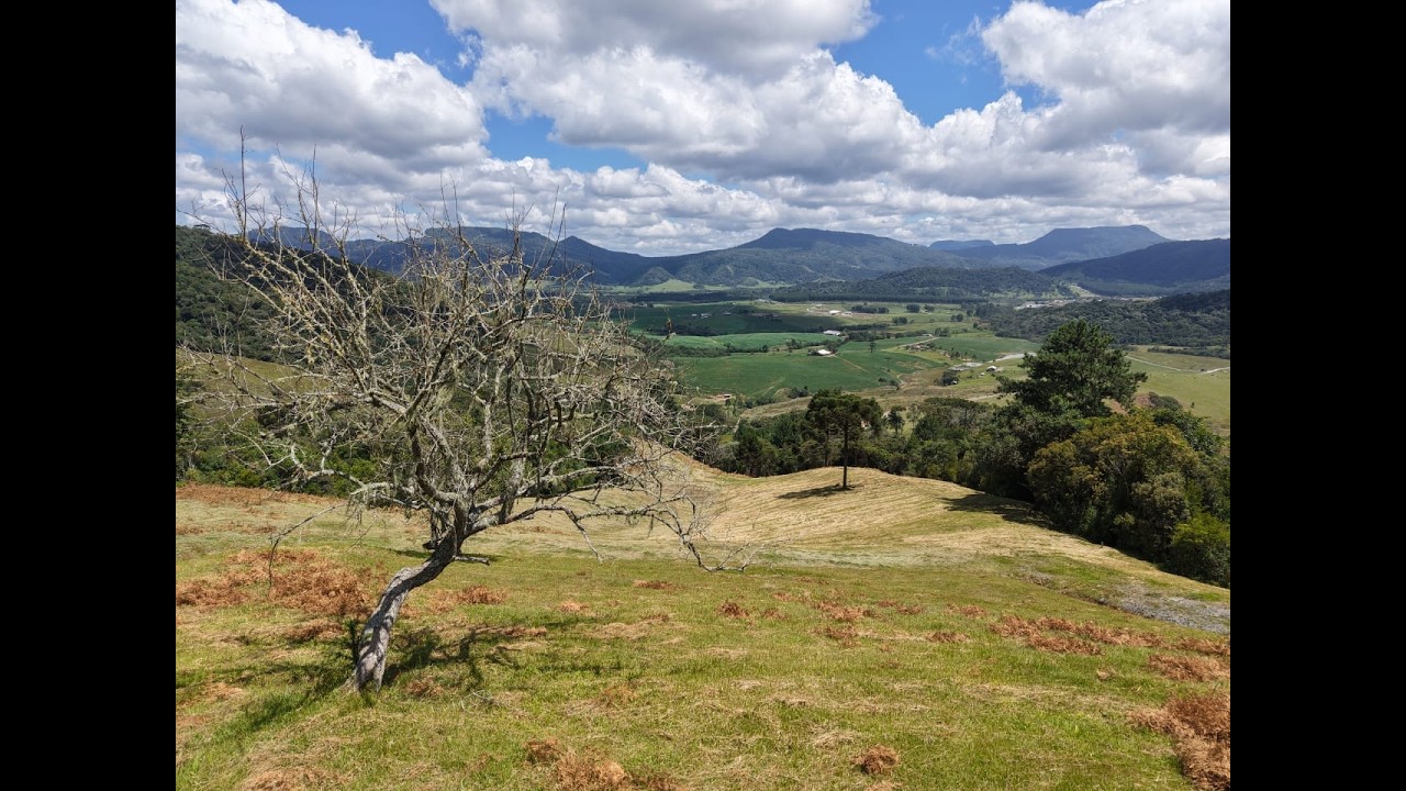 Imóveis na Serra Catarinense