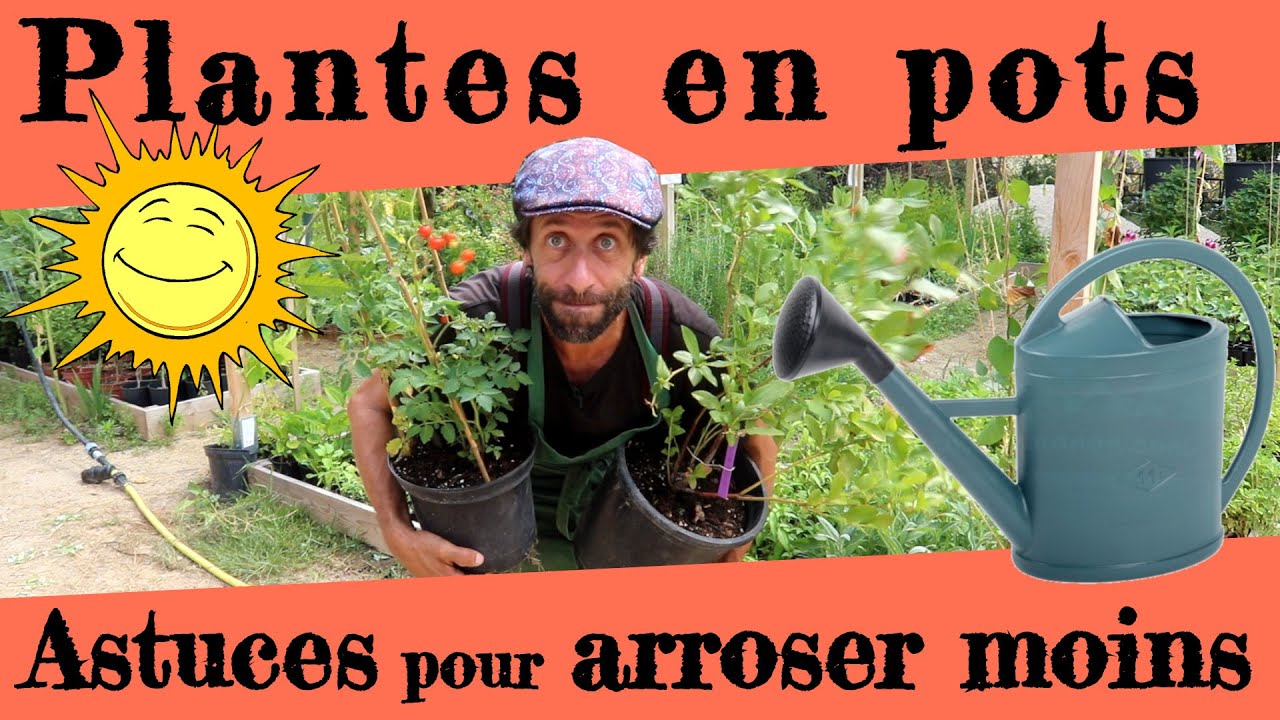 Plantes en pots. Astuces arrosage pour l'été.