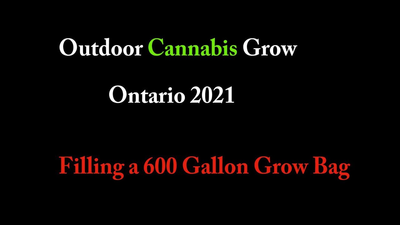 Filling a 600 gallon Grow Bag ,Outdoor Cannabis Grow Ontario Canada.