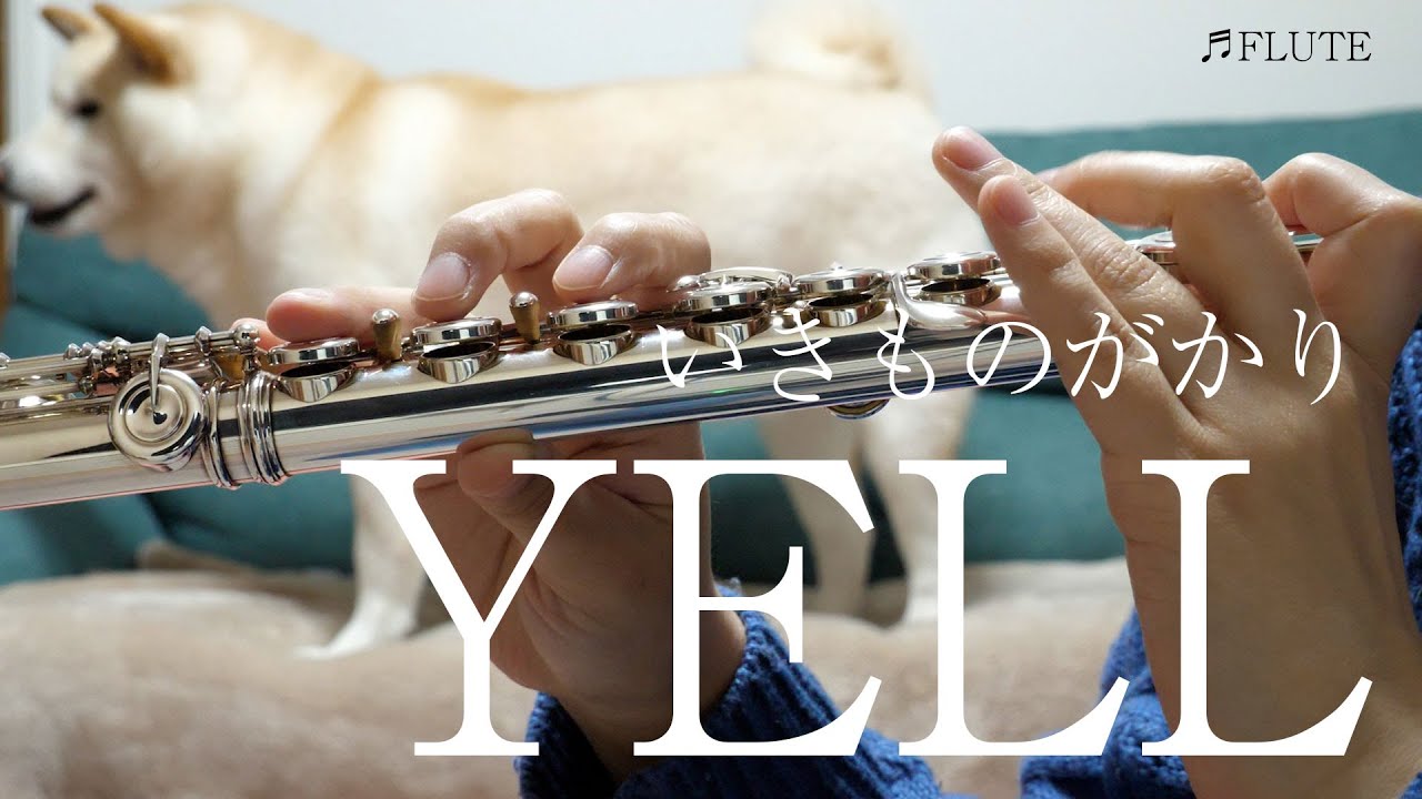 【フルート】YELL/いきものがかり【演奏してみた】FLUTE