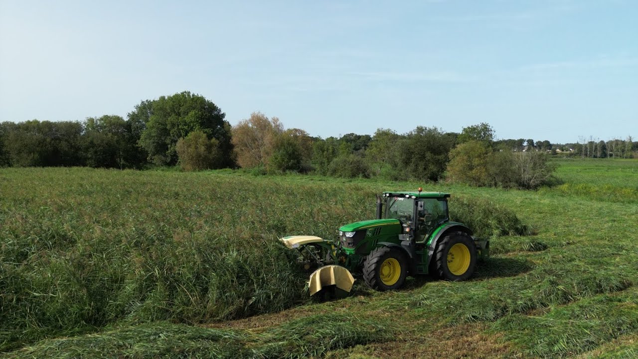 Foin 2023 en marais de Brière