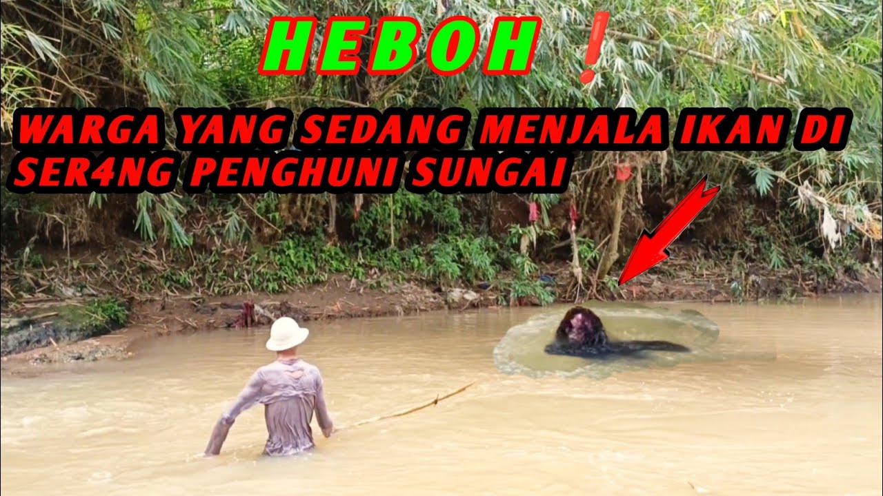 VIRAL❗ REKAMAN VIDEO AMATIR... DETIK DETIK PENJALA IKAN DI SER4NG PENGHUNI SUNGAI
