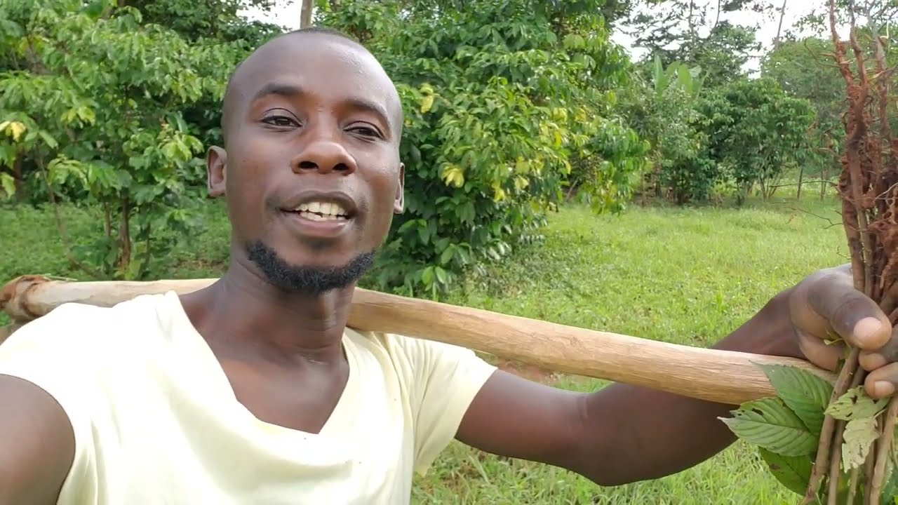 Conserving The Environment | Planting 