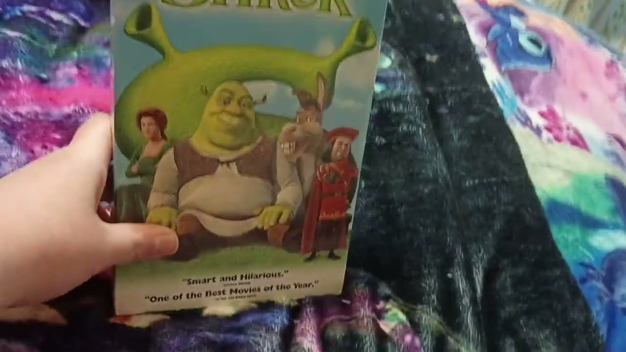 My DreamWorks vhs collection (2025)