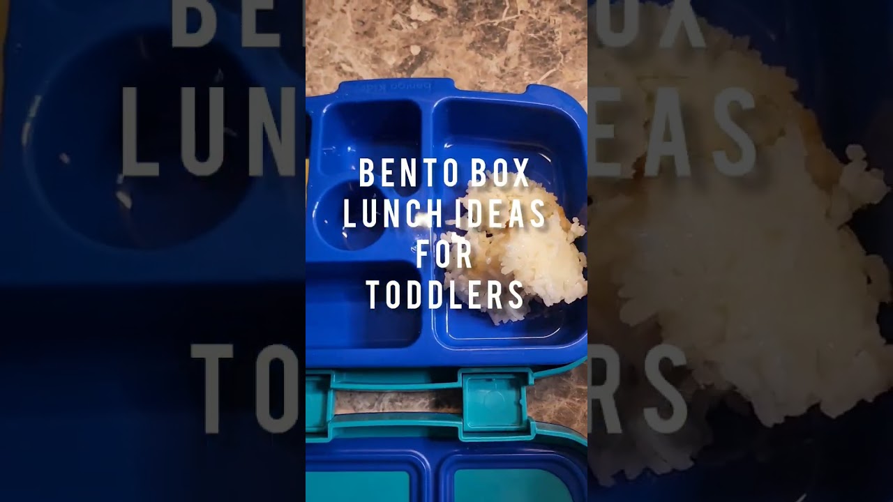 Bento Box Lunch ideas for toddlers #satisfying #bentolunchbox #bentgo  #lunchideasforkids