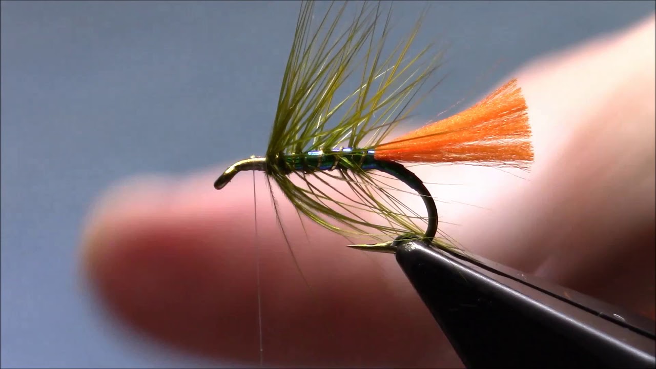 Peacock and Orange Octopus