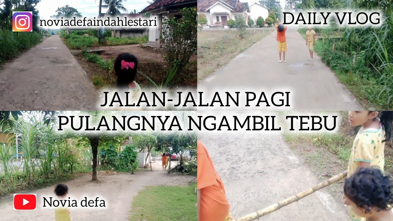 JALAN-JALAN PAGI PULANGNYA NGAMBIL TEBU GAESS #trending #trendingvideo #fyp #vloglampung #funny 