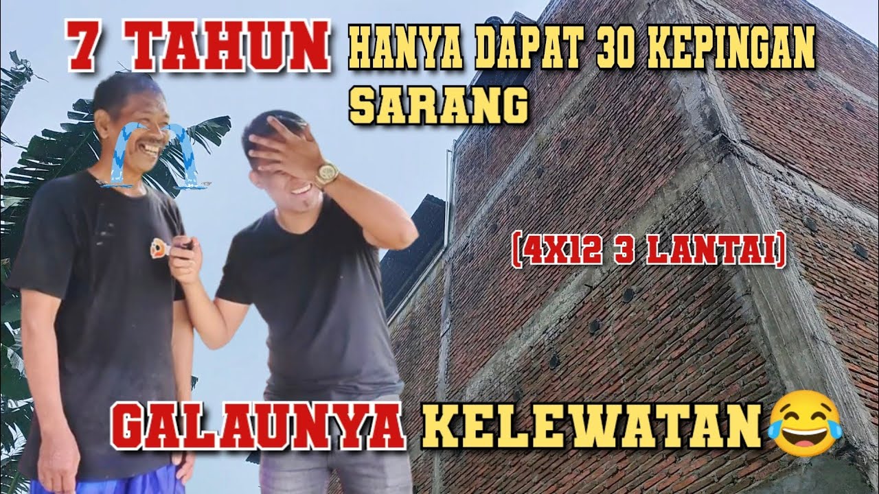 Ternyata ini penyebabnya‼️ 7 Tahun cuman dapat 30 sarang😱 Galaunya kelewatan😂