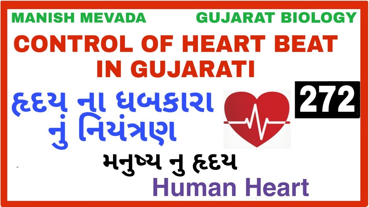 CONTROL OF HEART BEAT IN GUJARATI || હૃદય ના ધબકારા 
નું નિયંત્રણ