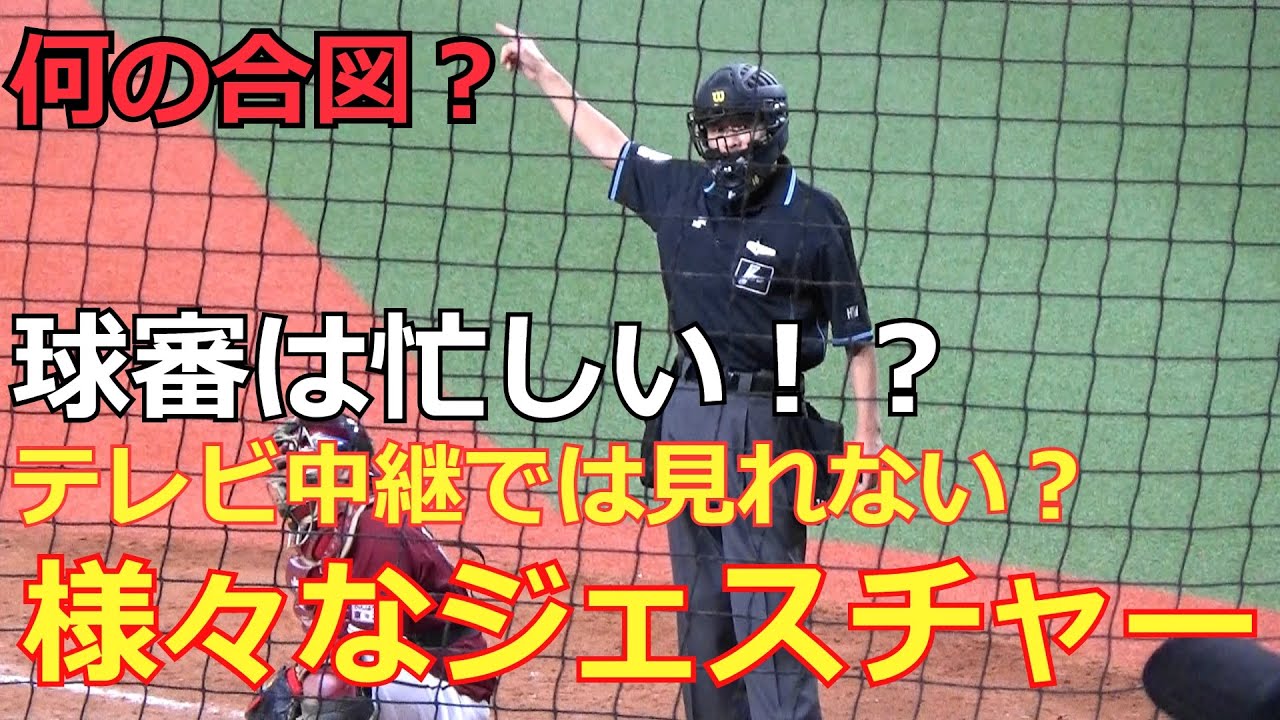 【審判ウォッチ（球審編)】杉永政信審判が出す合図を見るだけ（パターン多数）【2020.11.4 オリックス vs 東北楽天 23回戦】