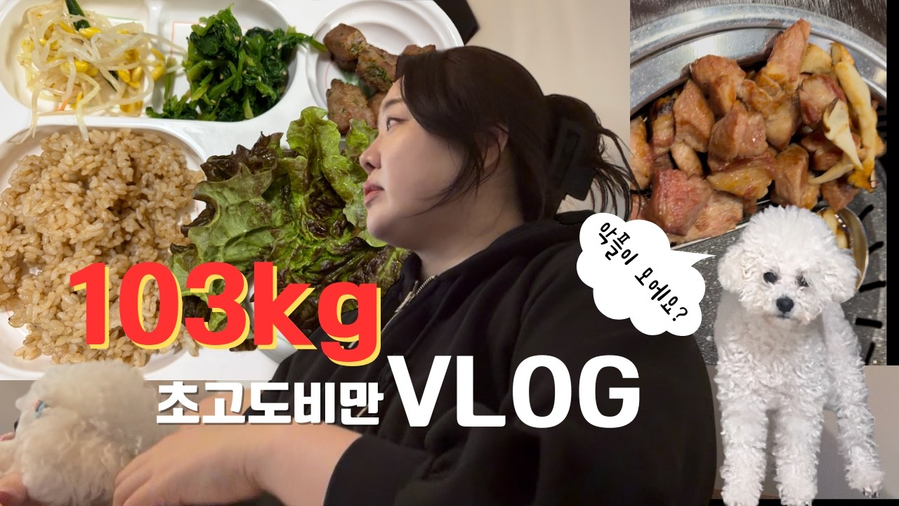103kg 초고도비만  다이어터가 약속을 대하는 자세 | 다이어트 식단 | 혈당체크 | 당뇨극복 기록 | 부부일상 | 마운자로부작용 | 청첩장 모임 | 악플을 대하는 자세