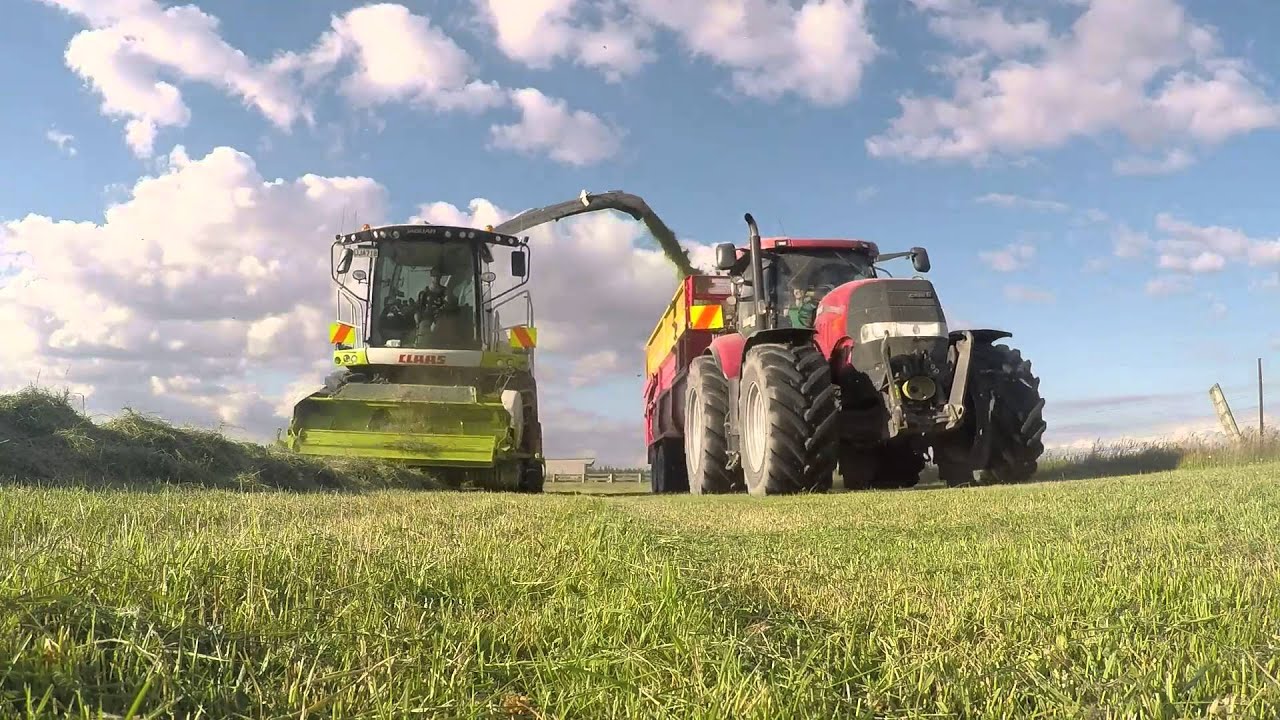 Grass silage NZ Bluegrass contracting 2016