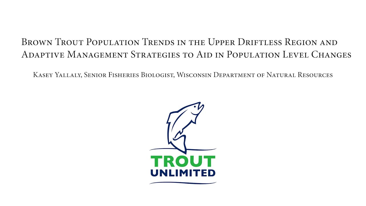 Brown Trout Population Trends in the Upper Driftless Region and Adaptive Management Strategies