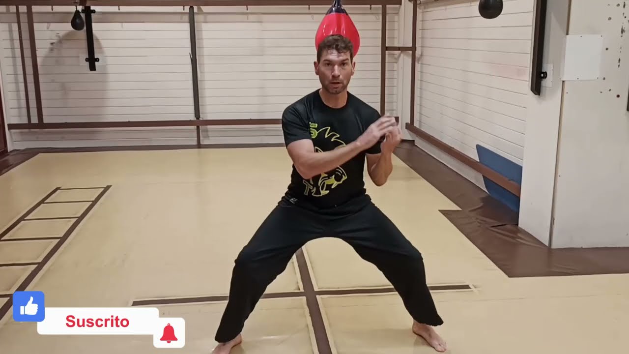 SILAT, LOS GOLPES B&Aacute;SICOS