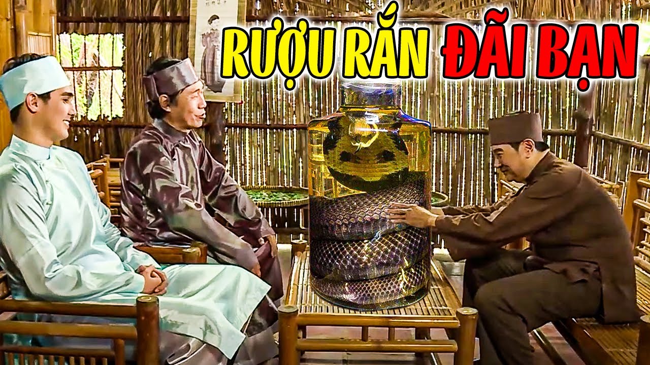 RƯỢU RẮN ĐÃI BẠN | Phim Truyện Cổ Tích 2024 | Cổ Tích Đất Việt 2024 | Cổ Tích Việt Nam 2024 | THVL