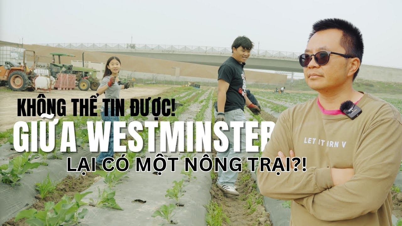 KHÔNG THỂ TIN ĐƯỢC! Giữa Westminster Lại Có Một NÔNG TRẠI?