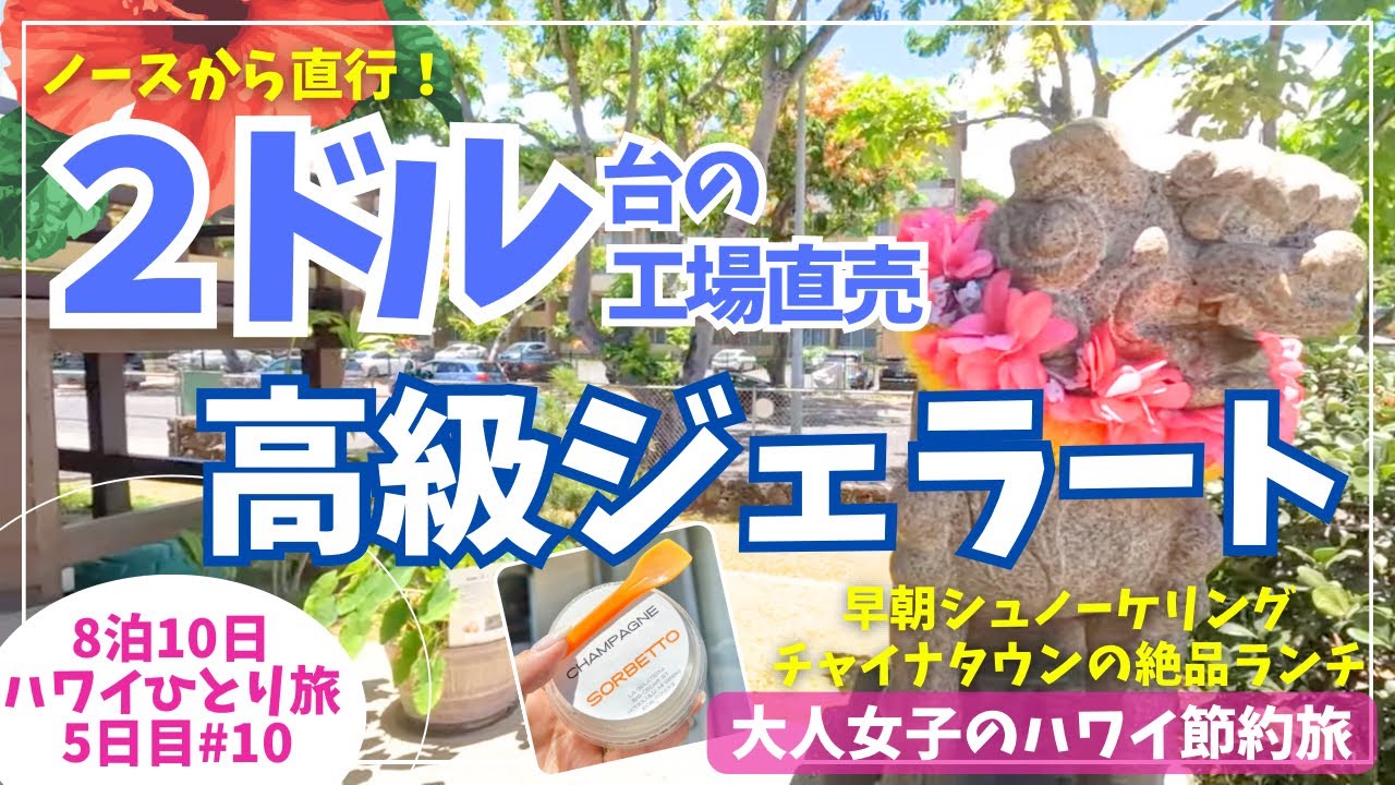 ノースショアから直行！レストランの味を工場直売で！2ドル台で楽しむ高級ジェラート🍨