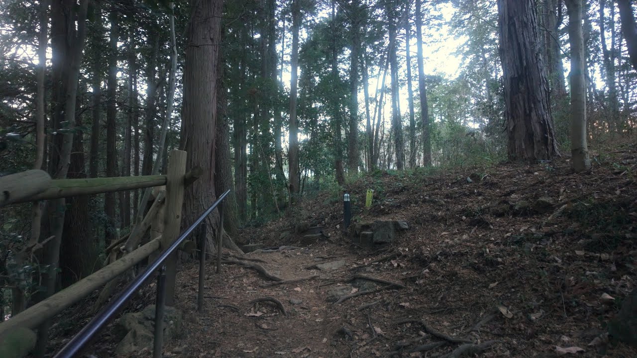 Relaxing Walk in Akigawa Valley, Tokyo