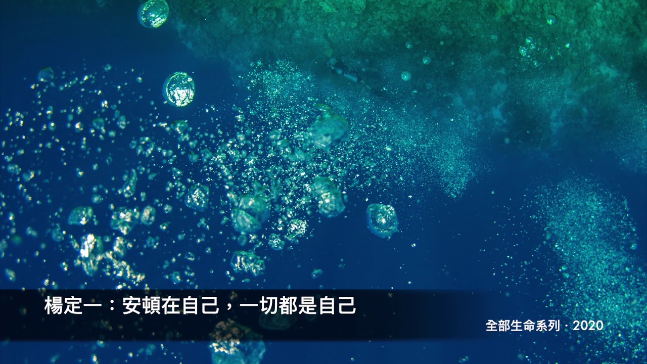 楊定一：安頓在自己，一切都是自己