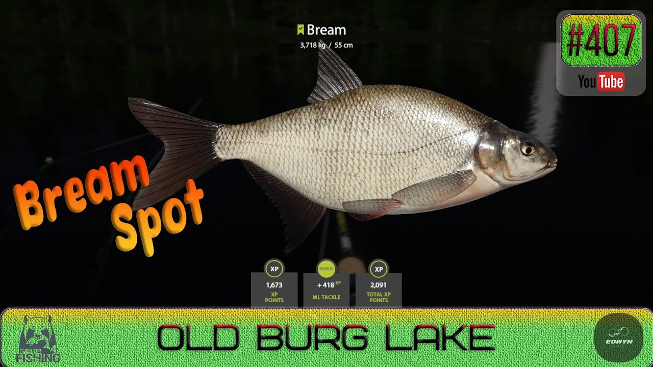 Russian Fishing 4 - EN|DE|ESP|RU - Old Burg Lake - Bream Spot - #407