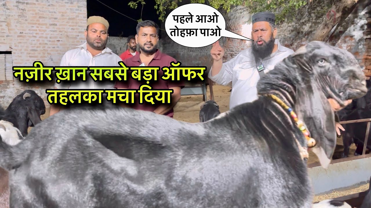 नज़ीर ख़ान सबसे बड़ा ऑफर ये वीडियो नहीं देखा तो कुछ नहीं देखा तहलका मचाया @farmingbaba top goat farm