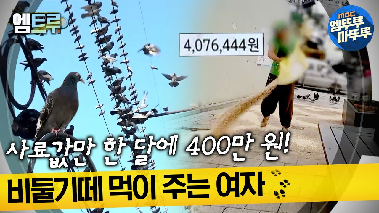 [실화탐사대] 사료값만 한 달에 400만 원! 비둘기떼 먹이 주는 여자 #엠뚜루마뚜루 #엠트루 MBC220707방송